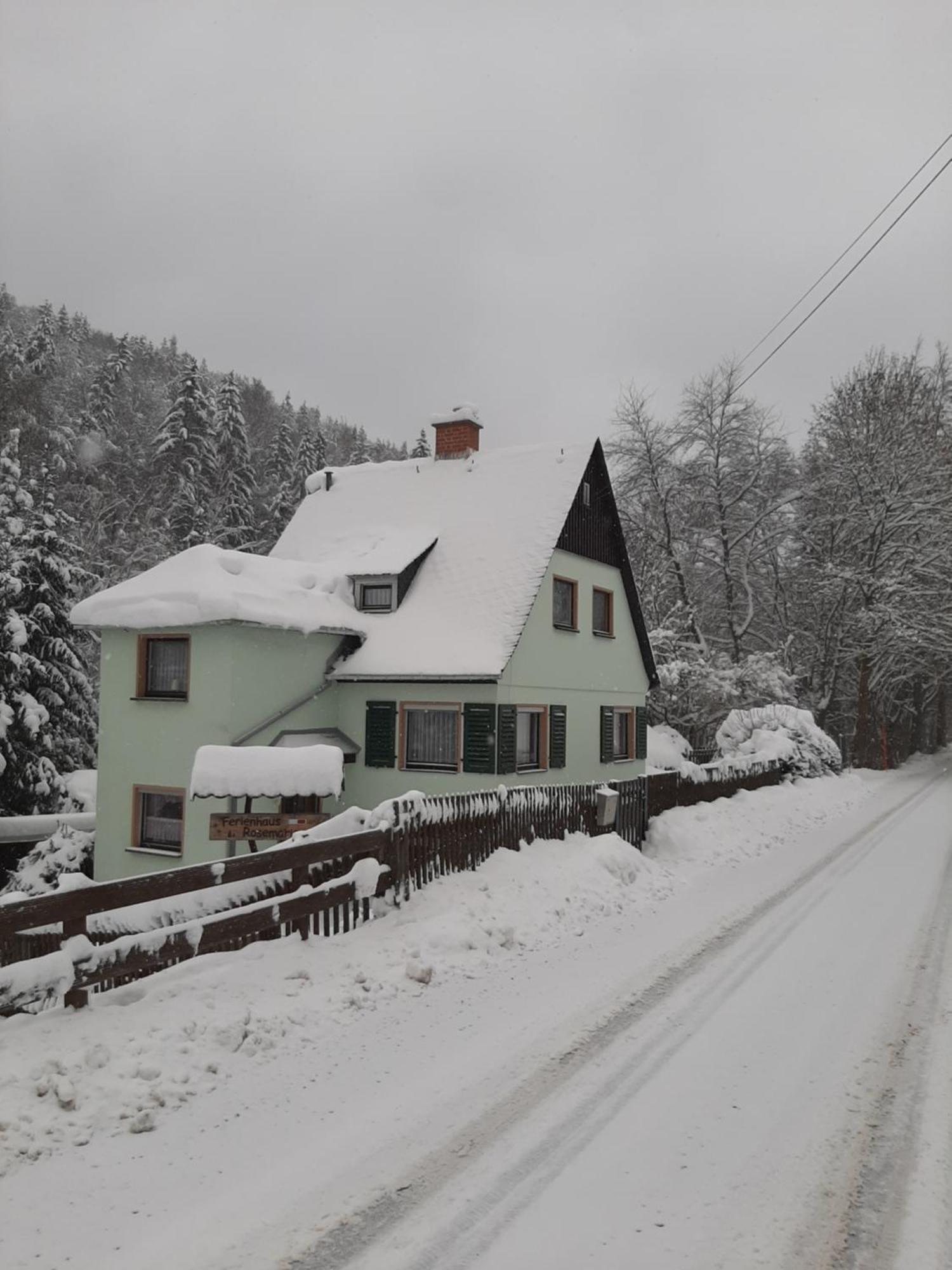 Ferienhaus Rosemarie Erlbach Vogtland Exterior foto