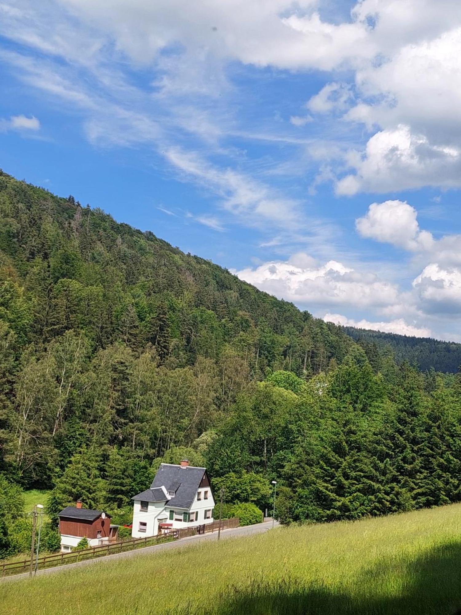 Ferienhaus Rosemarie Erlbach Vogtland Exterior foto